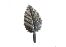 19-1204