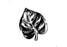 19-1178