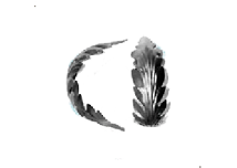 19-1010