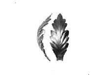 19-1008