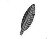 19-1022