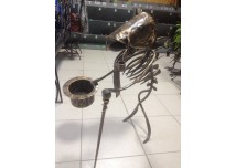 Сом декоративный