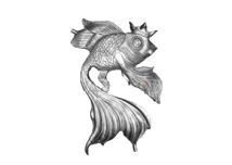 zolotaya