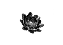 19-3407