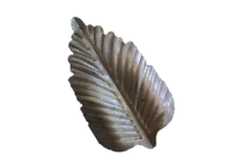 19-2206