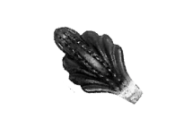 SK 22.27