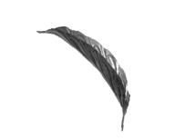 19-1282